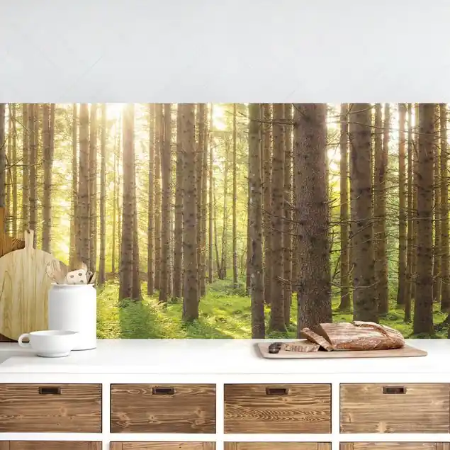 Sonderangebot Sonnenstrahlen in grünem Wald Küchenrückwand • selbstklebend • Spritzschutz • wasserfest • glänzend • 0,35 mm • hergestellt in Deutschland