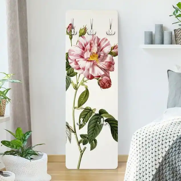 Pierre Joseph Redouté - Rosa Gallica-Rose Designpaneel Wandgarderobe • inkl. großes Haken-Set • hergestellt in Deutschland • platzsparend • besonderer Eyecatcher Sonderaktion