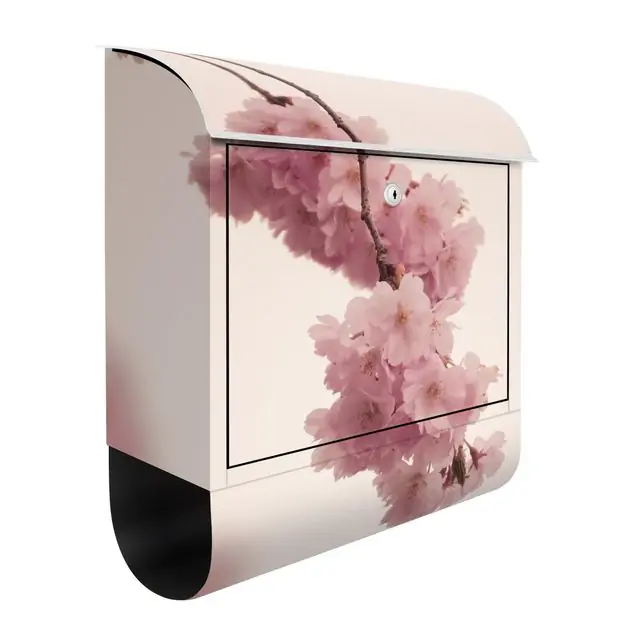 Knallerangebot Zartrosane Frühlingsblüte mit Bokeh Briefkasten