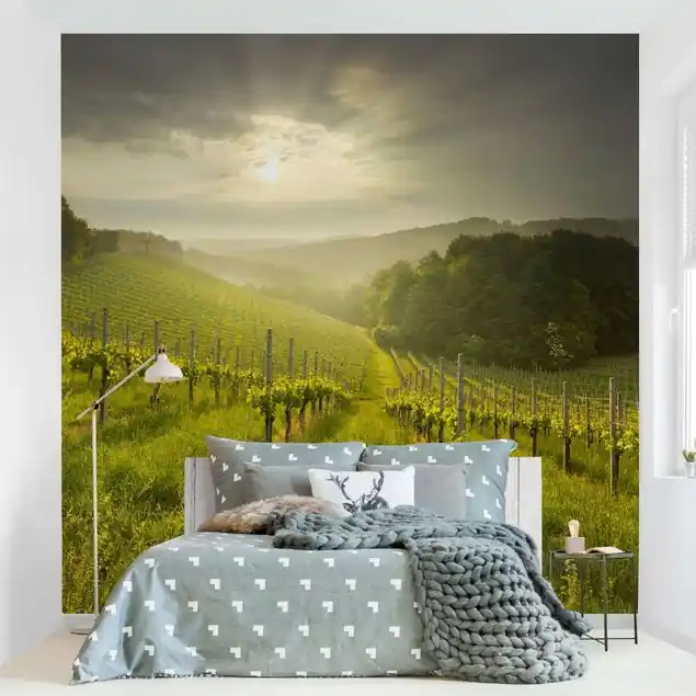 Sonnenstrahlen Weinberg Fototapete Vlies • inkl. Kleister • hergestellt in Deutschland Meistverkauft